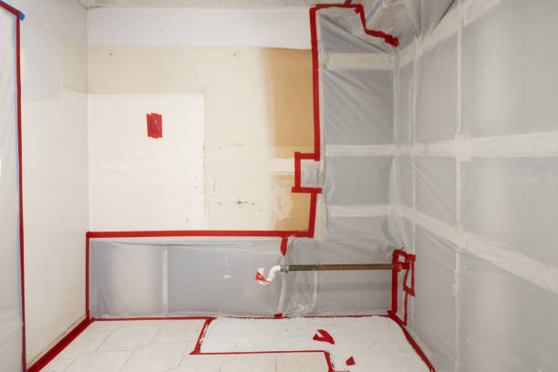 Best Real Estate Mold Inspection  in Carnegie, PA